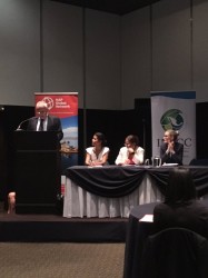 Panel inaugural: Peter Luhmann, GIZ en México; Anne Hammill, IISD; Amparo Martínez, INECC; Erin Silsbe, Environment and Climate Change Canada.