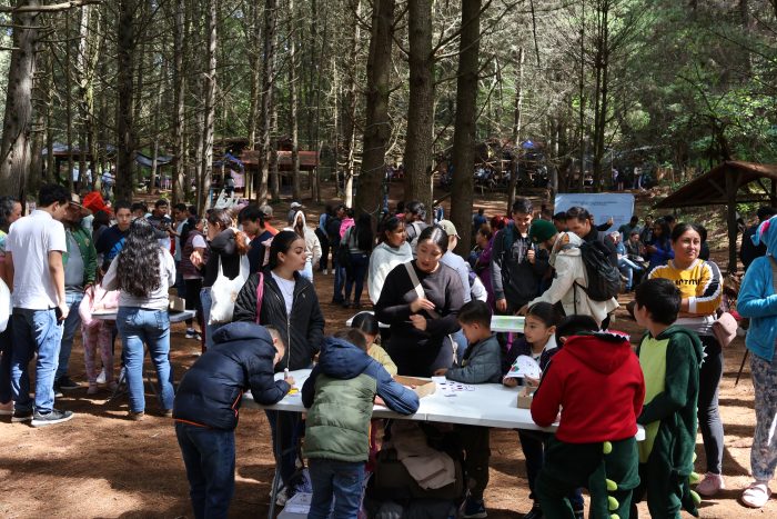Actividades lúdicas e informativas en torno a los insectos polinizadores en La Feria Del Hongo, Ejido El Terrero, RBSM. Créditos: ENDESU.