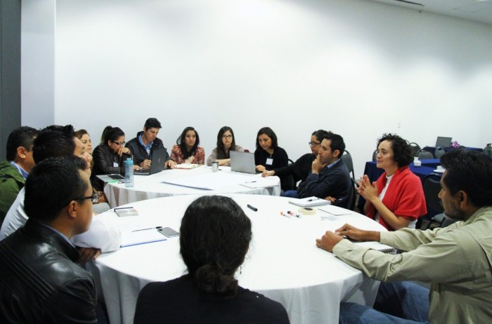 National Multilevel Governance, MRV and REDD + workshop in Mexico aimed at providing scientific knowledge and information to decision makers to contribute to the effective and efficient reduction of carbon emissions.