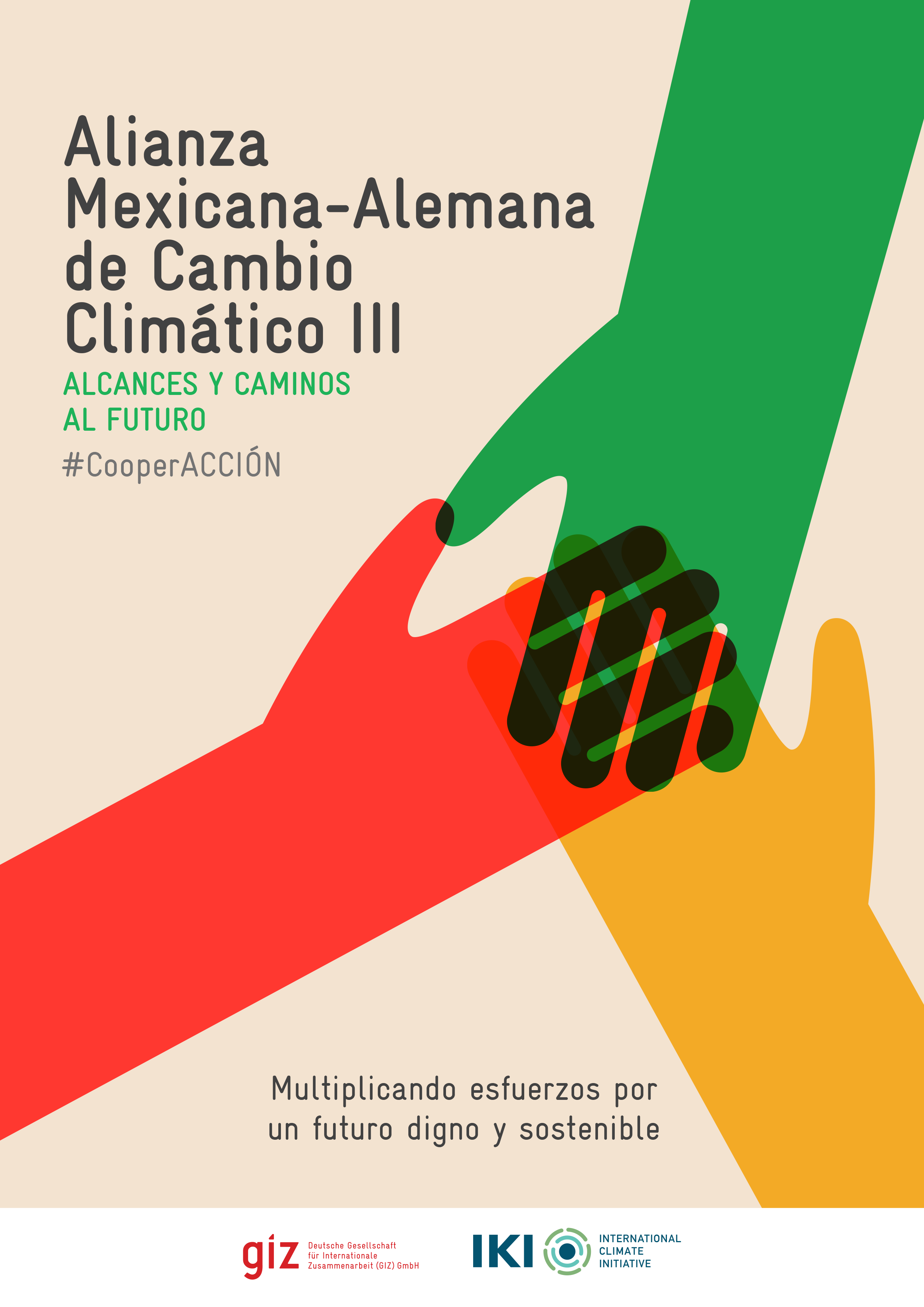 Alcances Y Caminos Al Futuro De La Alianza Mexicana-Alemana De Cambio ...