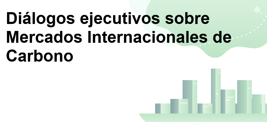 Instituto Universitario Europeo-Diálogos ejecutivos sobre Mercados Internacionales de Carbono